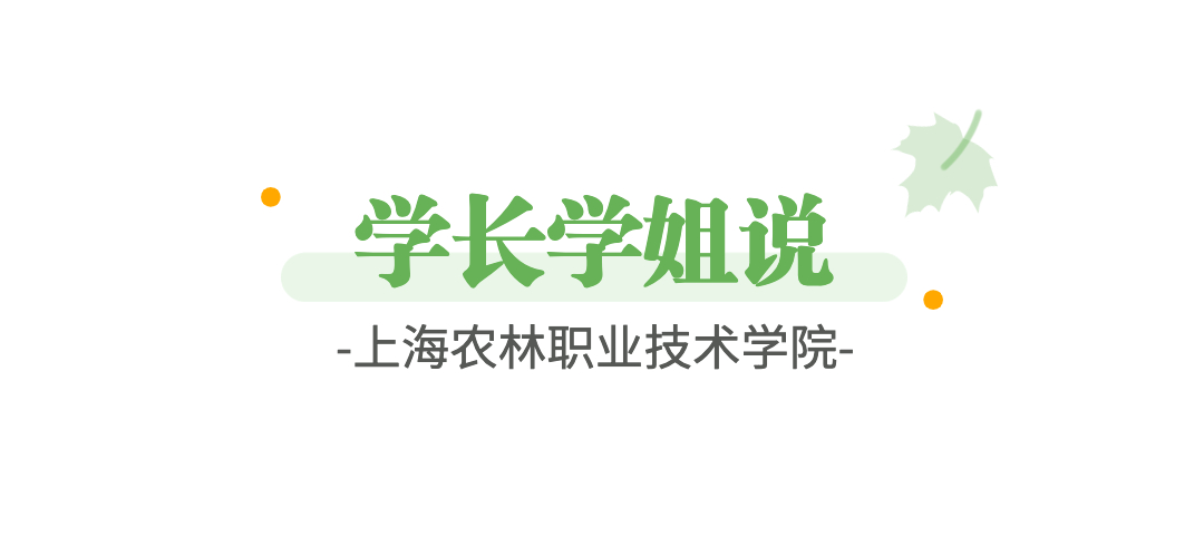 旅游出行攻略指南清新文章标题.jpg