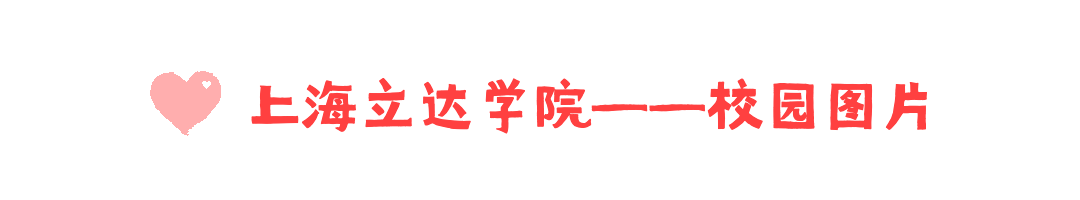 520情人节标题动态分割线.gif