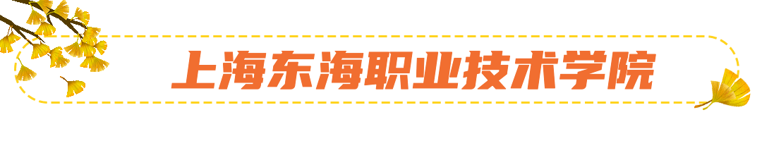 旅游出行相机动态分割线.gif