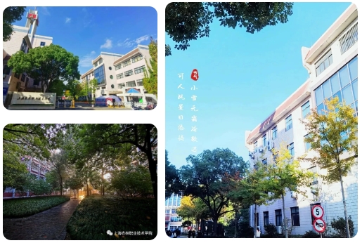 微信截图_20241104114203.png